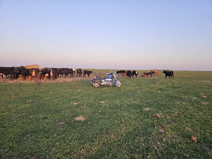 Southwest Veterinary Clinic Picture 9