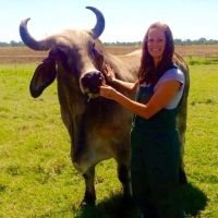 Lawtonka Animal Chiropractic & Vet Hospital ico