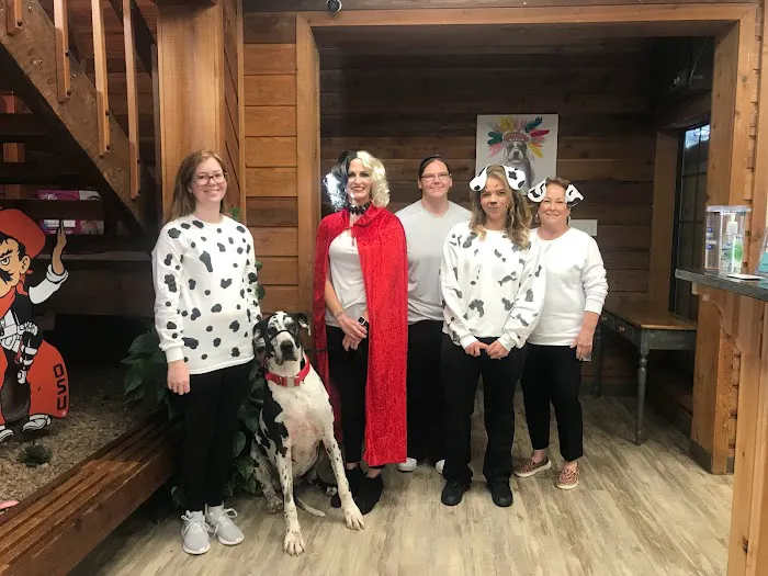 Lawtonka Animal Chiropractic & Vet Hospital Picture 7