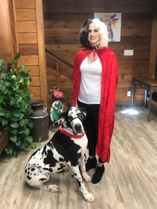 Lawtonka Animal Chiropractic & Vet Hospital Picture 8