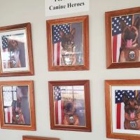 Fort Sill Veterinary Clinic ico