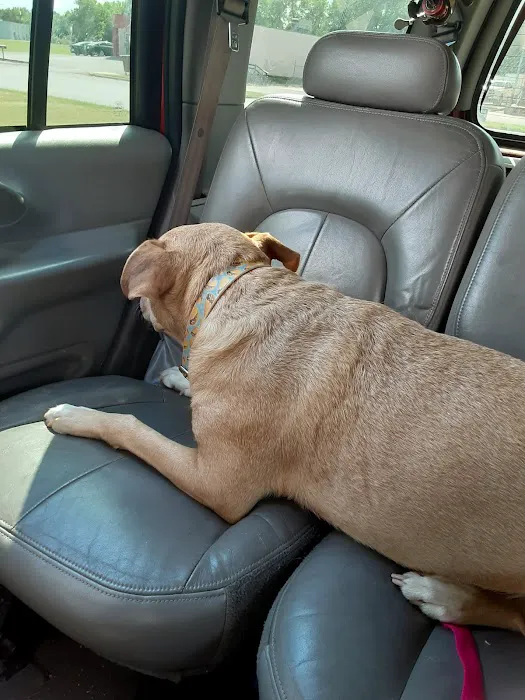 Animal Birth Control Clinic Picture 2