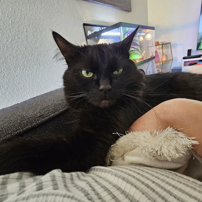 Animal Birth Control Clinic Picture 7