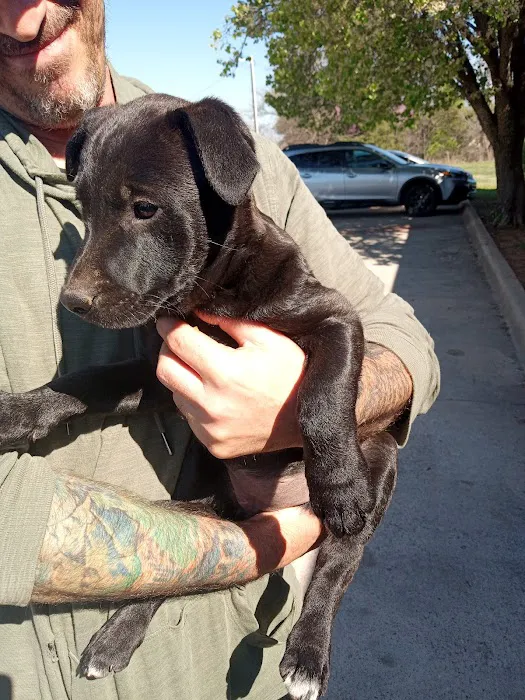 Animal Birth Control Clinic Picture 10