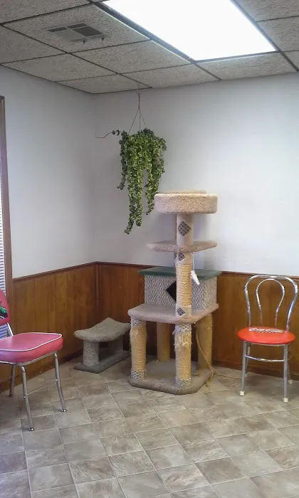 All About Pets Veterinary Clinic Picture 1