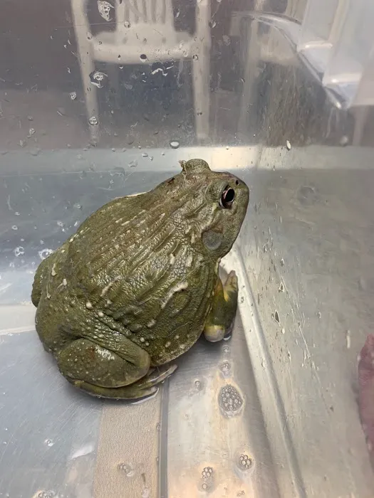 All About Pets Veterinary Clinic Picture 7