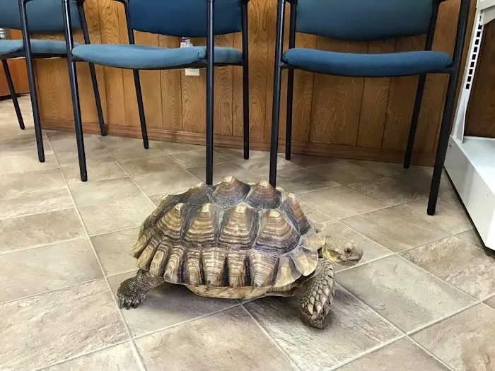 All About Pets Veterinary Clinic Picture 6