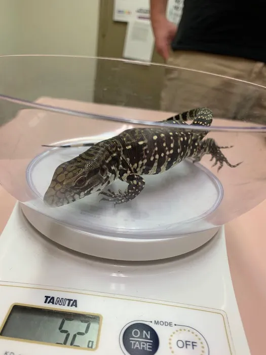 All About Pets Veterinary Clinic Picture 9