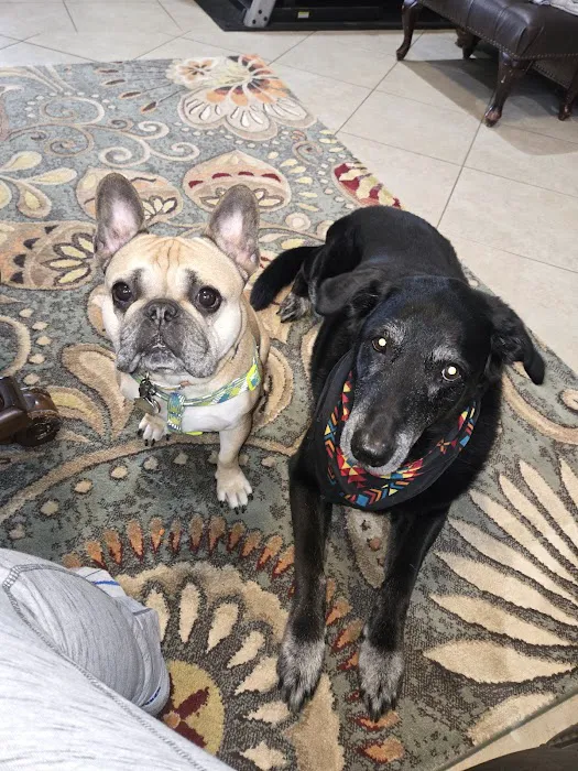 Freeman Veterinary Clinic Picture 1