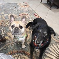 Freeman Veterinary Clinic ico