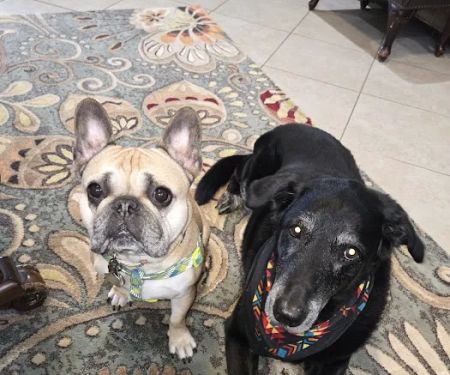 Freeman Veterinary Clinic