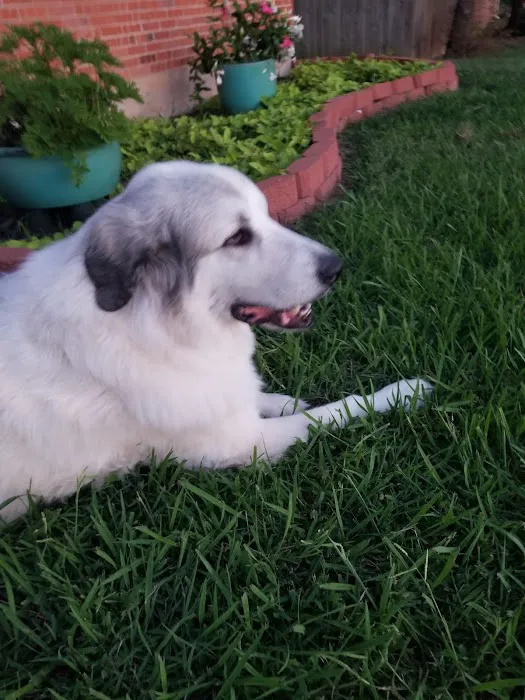 Freeman Veterinary Clinic Picture 6