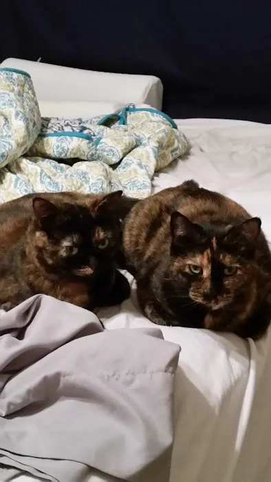 Freeman Veterinary Clinic Picture 4