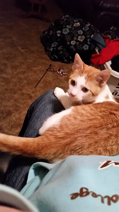 Freeman Veterinary Clinic Picture 5