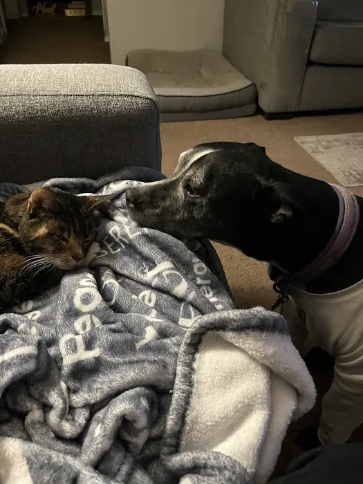 Freeman Veterinary Clinic Picture 3