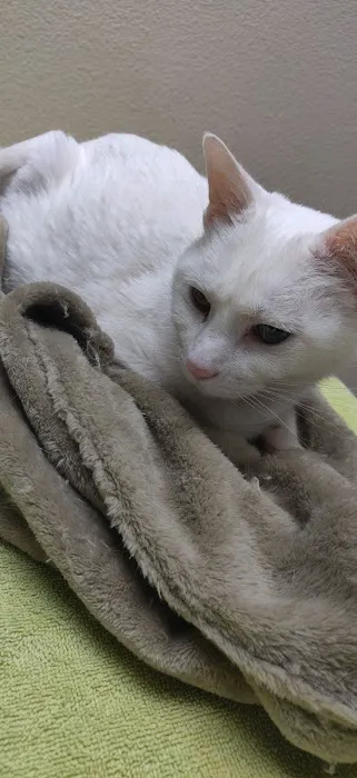 Freeman Veterinary Clinic Picture 9