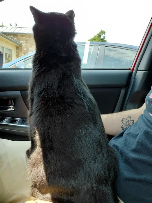 Freeman Veterinary Clinic Picture 7