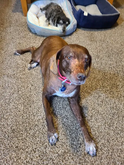 Beavers Animal Hospital Picture 1