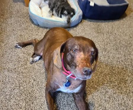 Beavers Animal Hospital