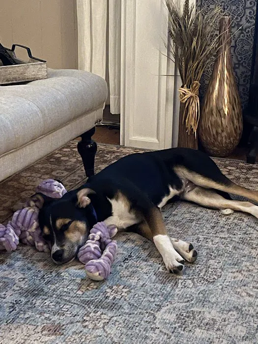 Beavers Animal Hospital Picture 5