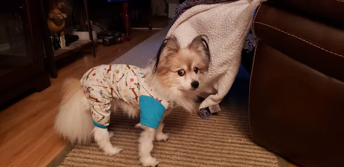 Beavers Animal Hospital Picture 2