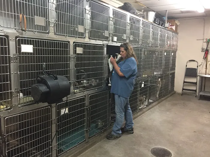 Beavers Animal Hospital Picture 8