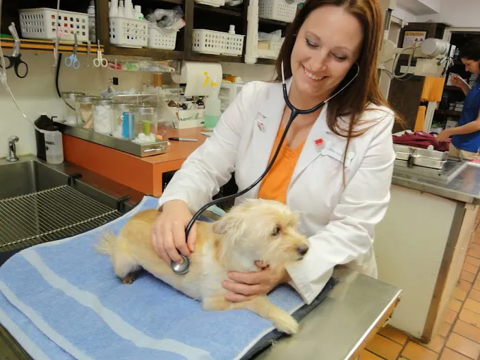 Midtown Animal Hospital Picture 9