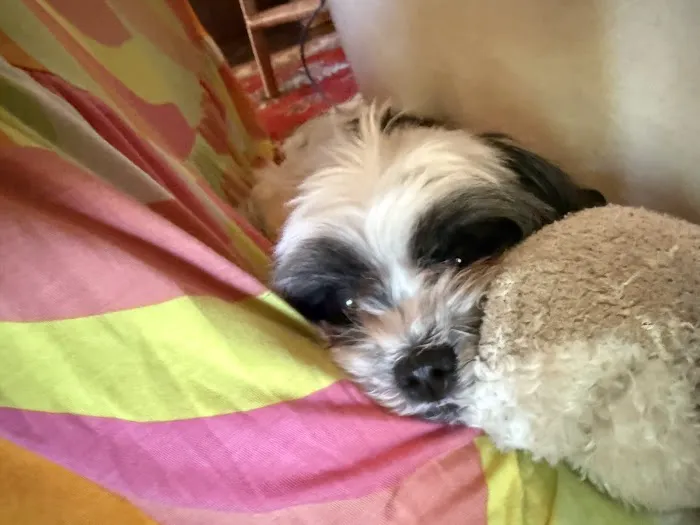 Creekside Animal Hospital Picture 2