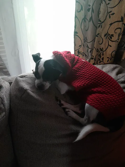 Creekside Animal Hospital Picture 1