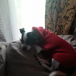 Creekside Animal Hospital