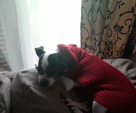 Creekside Animal Hospital