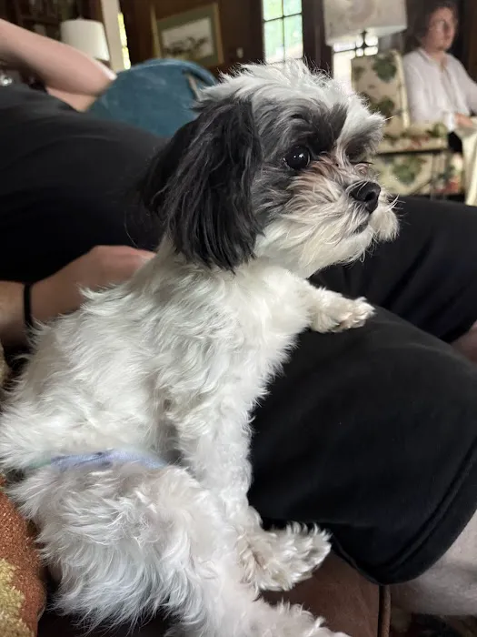 Creekside Animal Hospital Picture 4