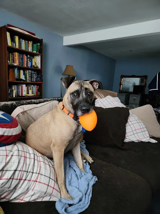 Creekside Animal Hospital Picture 3