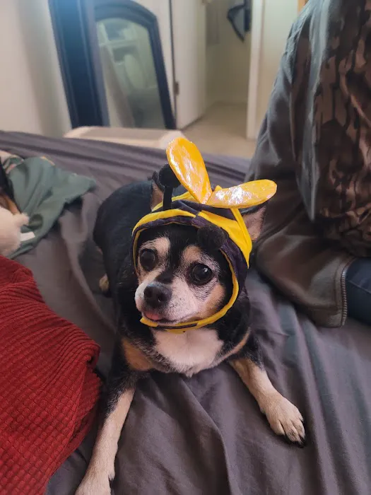 Lawton Veterinary Hospital Picture 2