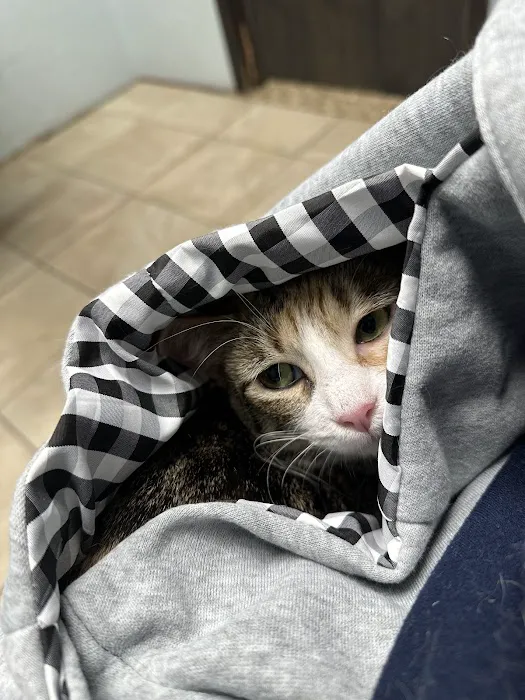 Lawton Veterinary Hospital Picture 3