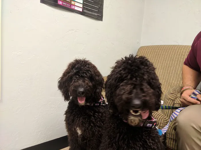 Lawton Veterinary Hospital Picture 4