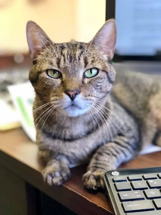 Lawton Veterinary Hospital Picture 5