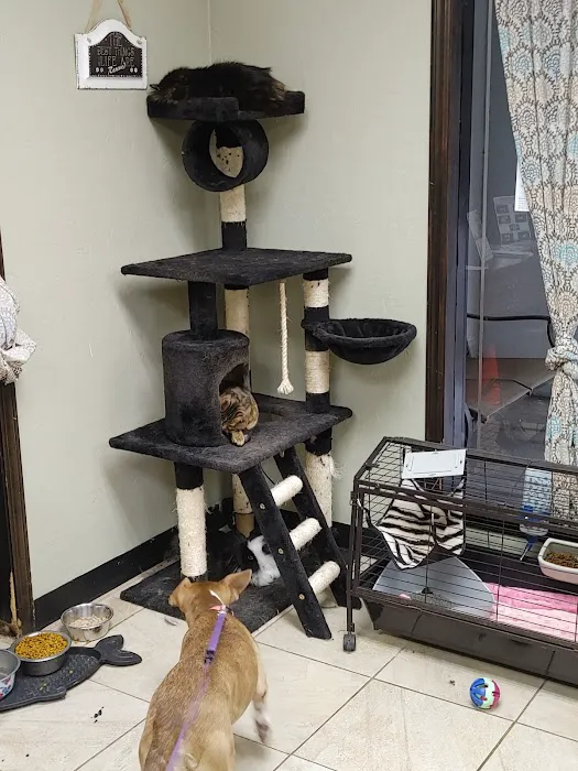 Lawton Veterinary Hospital Picture 7