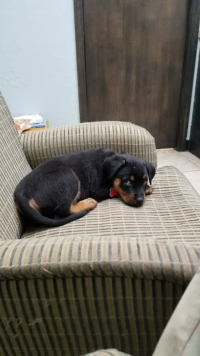 Lawton Veterinary Hospital Picture 8