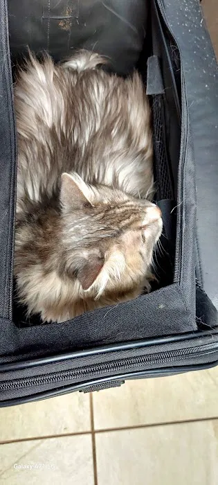 Lawton Veterinary Hospital Picture 9