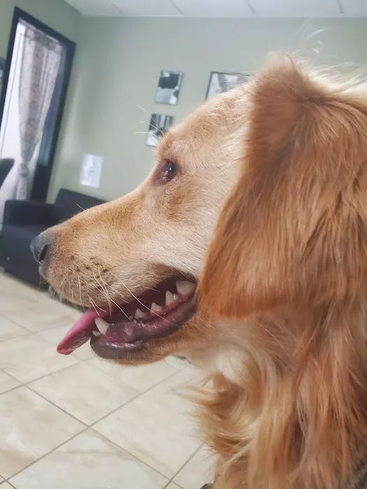 Lawton Veterinary Hospital Picture 10