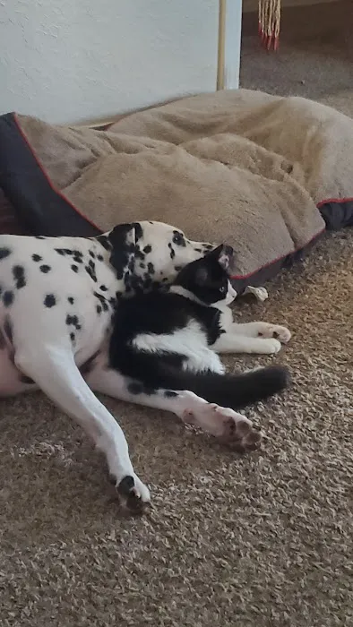 Webb Jennifer DVM Picture 4