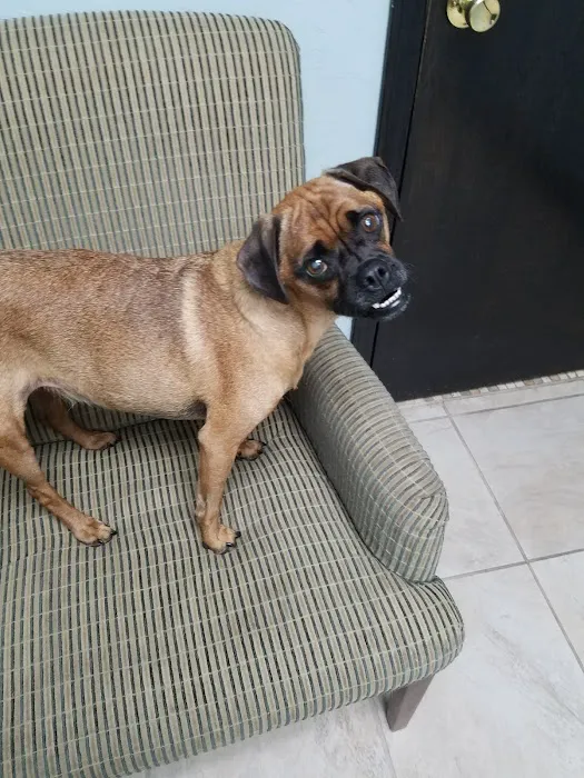 Webb Jennifer DVM Picture 2