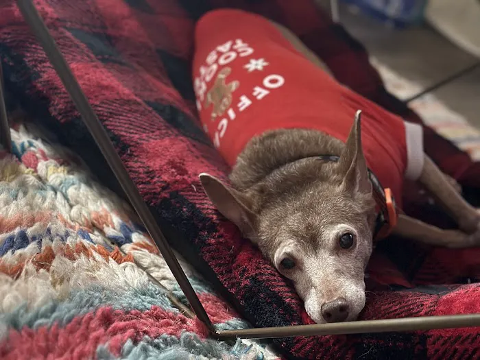 Webb Jennifer DVM Picture 3