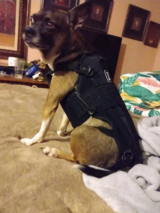 Webb Jennifer DVM Picture 5