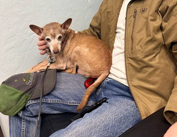 Webb Jennifer DVM Picture 6