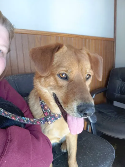 Southwest Veterinary Clinic Hobart Picture 1