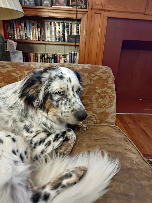 Southwest Veterinary Clinic Hobart Picture 2