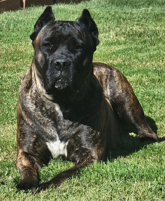 Jefferson County Animal Hospital Picture 3