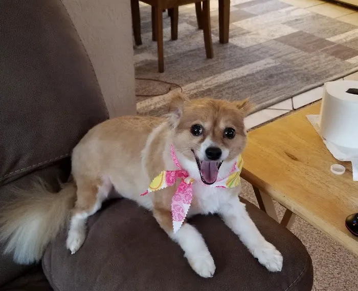 Jefferson County Animal Hospital Picture 1